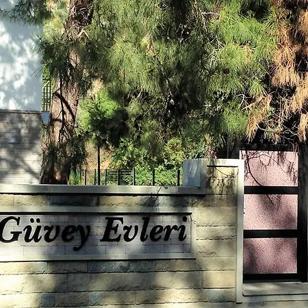 Guvey Homes Torba
